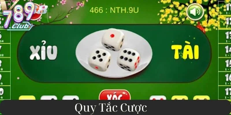 Đánh Giá Và Kinh Nghiệm Chơi Tài Xỉu 789club